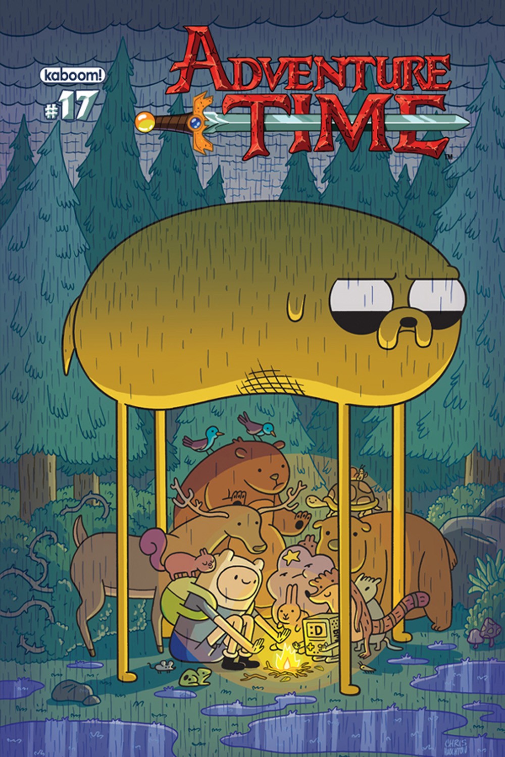 adventure time jake cover photo