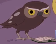 6A7C40F6-01BE-435D-A5BC-E6E2BE71E080