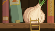 Onion on a shelve