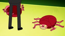 macumba no cavalo cuelho Adventure time, Adventure time wiki, Character design