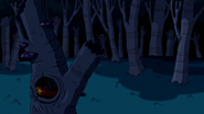 S7e35 Forest shot 2