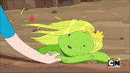 Fern’s death