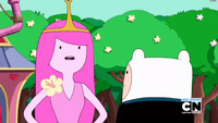 S5e44 PB and Finn