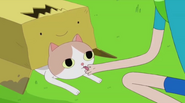 S5 e37 cat licking Finn's hand