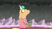 S7e16 viola in the rain