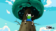 S5 e4 Finn using needles to climb