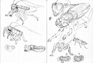 Varmints concept drawings by writer and storyboard artist Kris Mukai