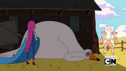 S7e1 bird