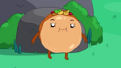 Bun Bun | Adventure Time Wiki Fandom