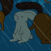 Bunny Being Protected Be Beaver.png