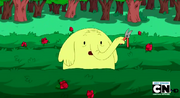 Rose garden.png