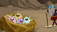 S5e13 baby birds.png (1.47 MB)