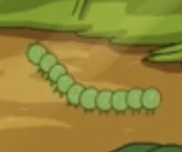 Caterpillars | Adventure Time Wiki | Fandom