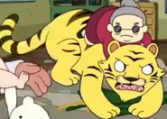 Adventure Time Tiger