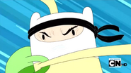 Finn ninja.png (477 КБ)