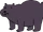 Bears (species)