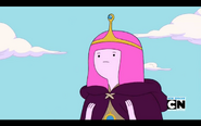 Princess Bubblegum, in the early years of the Kingdom