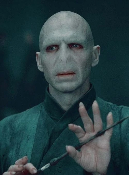 Voldemort | Wiki Adversary | Fandom