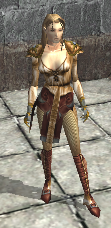 Desert Studded Leather Armor