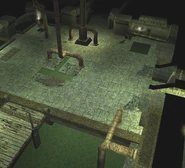 A few bats and a rat