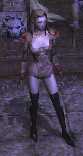 Princess Amraphenneset's Chainmail view