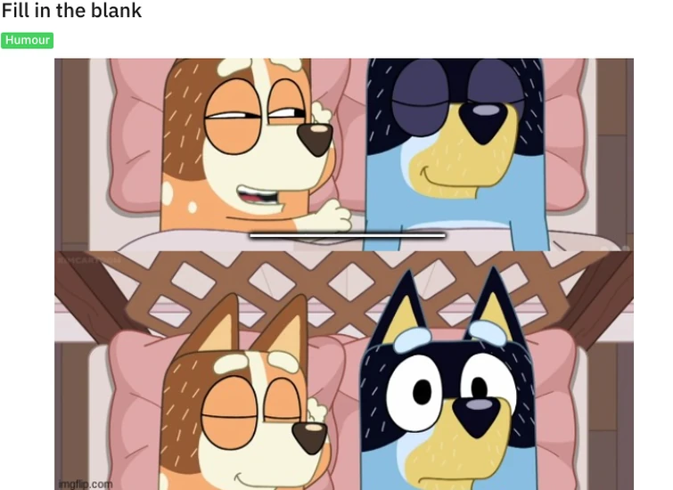 Fill in the blank (from r/bluey) Fandom