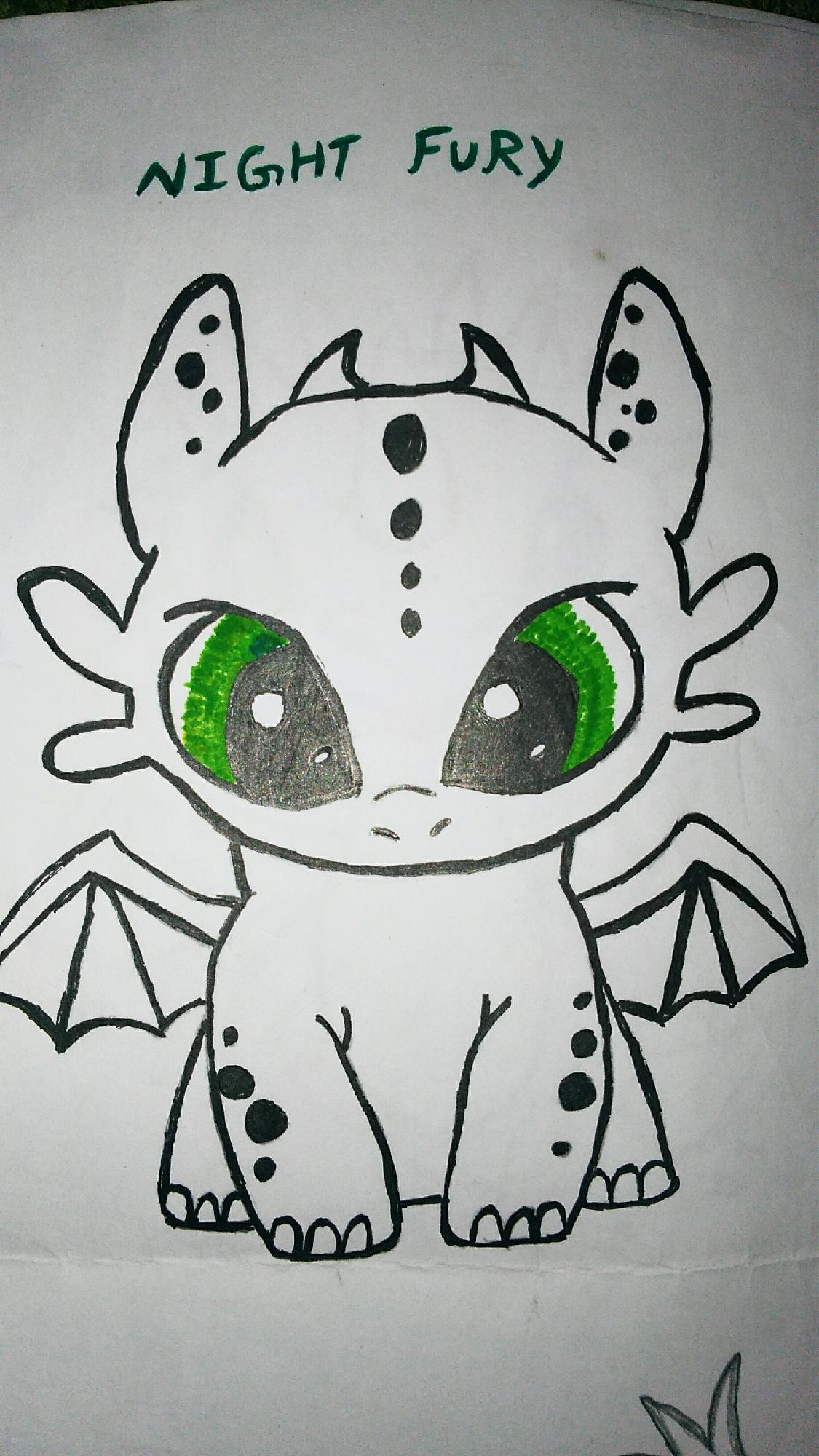 I Have Draw Baby Night Fury Fandom