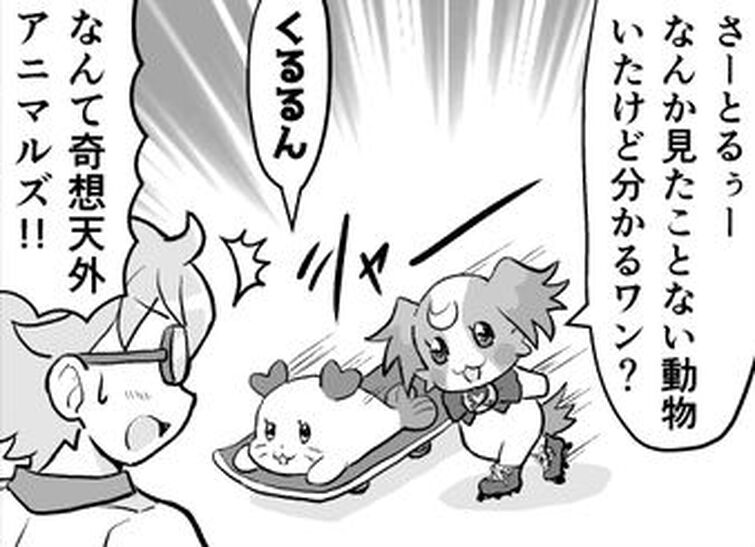 Fandom Image