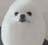 AverageChomikGuide101's avatar