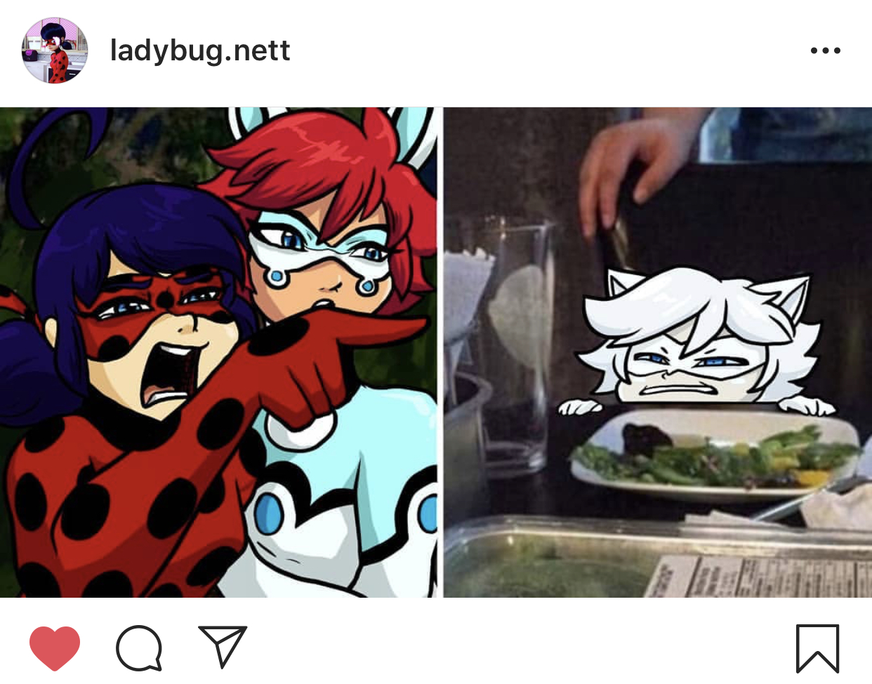 Memes De Miraculous Ladybug Chat Blanc