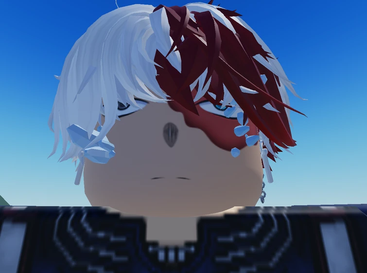 opinions on shoto todoroki roblox cosplay? Fandom