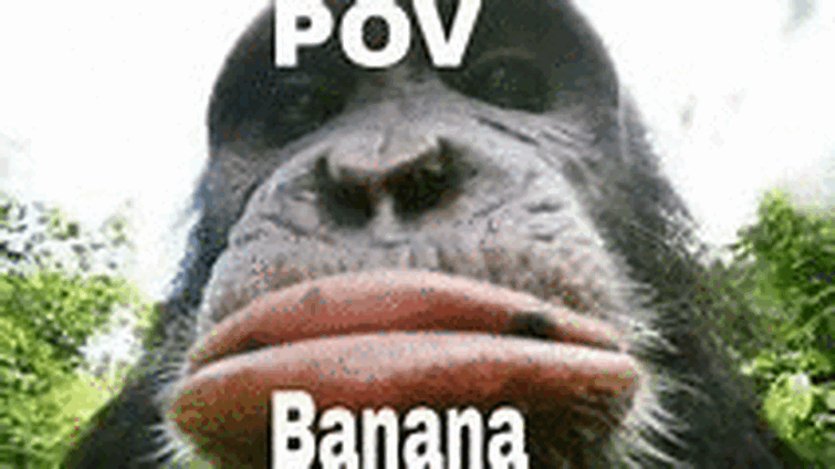 Featured image of post View 18 Return To Monke Gif