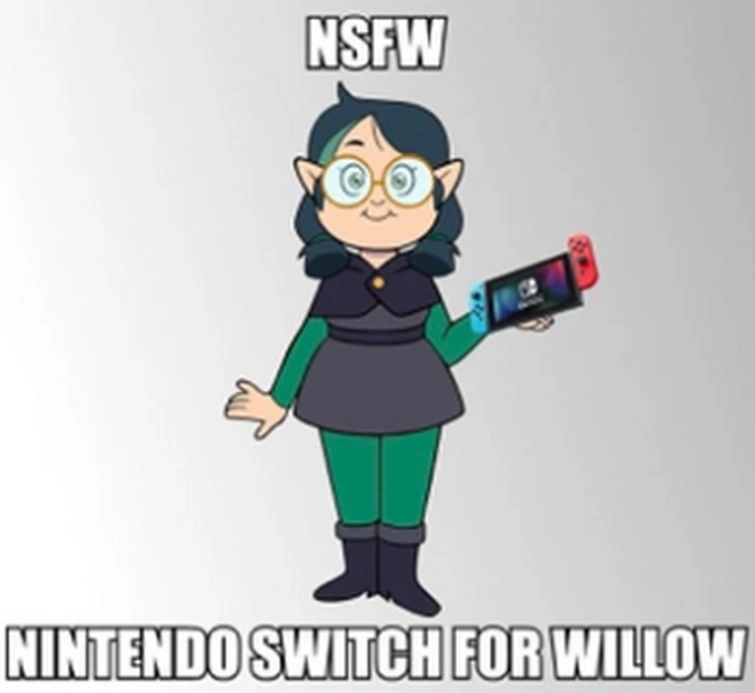 Nintendo Switch For Willow Fandom