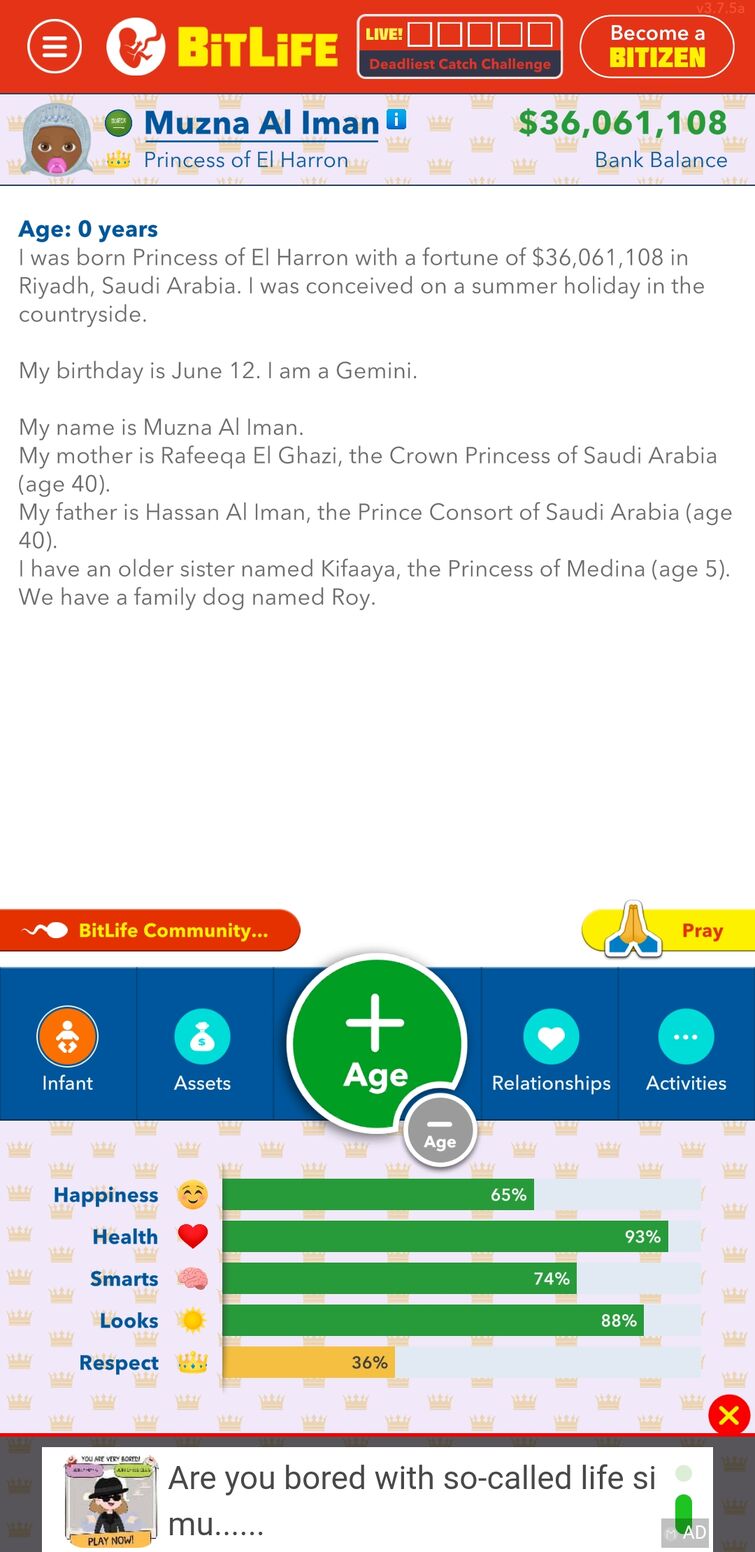 BitLife royalty - how to become King or Queen