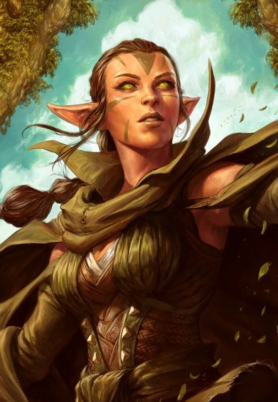 Wood Elf Aedolan Wiki Fandom