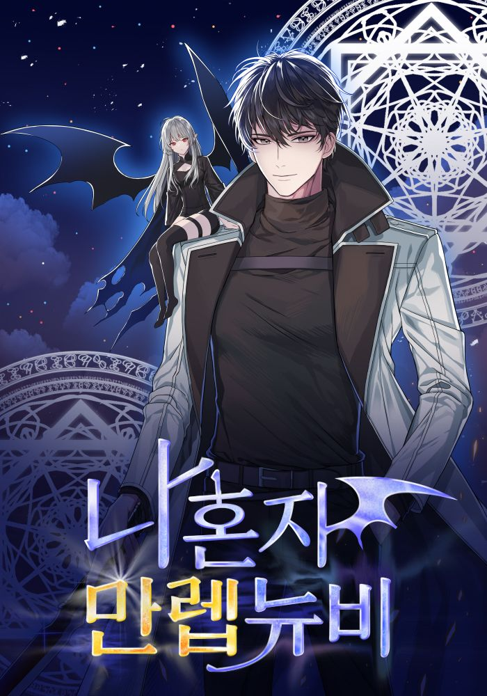 I'm The Max Level Newbie Novel