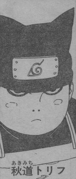 Ifu Akimichi.png