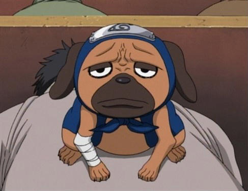 Sakumo Hatake o Canino Branco de Konoha !