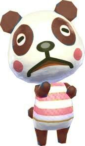 Quinn the Mind Reading Qinling Panda.jpg