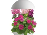 AeroGarden 3