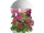 AeroGarden 3