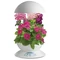 AeroGarden 3