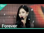 -세로 직캠- 에스파(aespa) - Forever(약속) 카리나 FOCUS - KOREA-UAE K-POP FESTIVAL