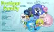 Frutiger Family diagram -2