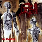 Human by Death