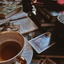 Witchy Academia Aesthetics Wiki Fandom See more ideas about little witch academy, my little witch academia, witch. witchy academia aesthetics wiki fandom