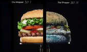 Burger-king-moldy-whopper-campaign