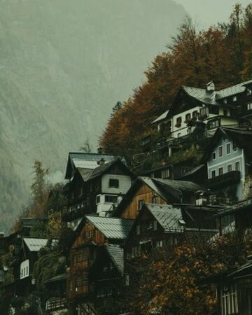 Dark Naturalism Aesthetics Wiki Fandom Voir plus d'idées sur le thème aesthetique, photographie, gymnopédie. dark naturalism aesthetics wiki fandom
