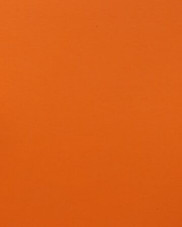 Orange Aesthetics Wiki Fandom Vector peony floral botanical flowers. orange aesthetics wiki fandom