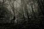 Nature-4496583 1920.jpg (1.01 MB)